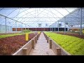 Tour an AQUAPONICS FARM in Texas 🐟   🌿= 🤠 Sustainable Harvesters