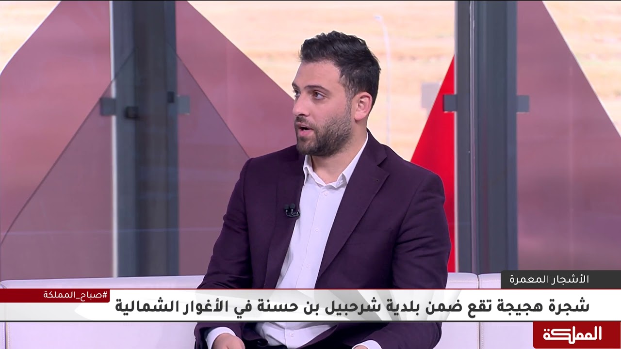 شجرة هجيجة تقع ضمن بلدية شرحبيل بن حسنة في الأغوار الشمالية