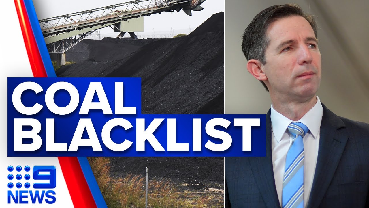 Reports China has added Australian coal to blacklist | 9 News Australia