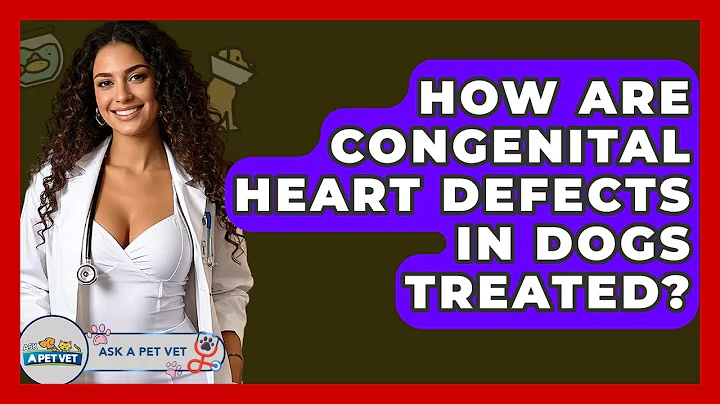 How Are Congenital Heart Defects In Dogs Treated? - Ask A Pet Vet
