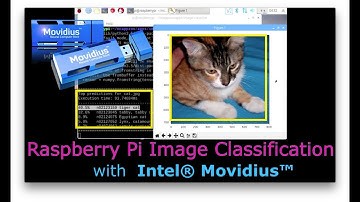 Raspberry pi Image Classification with Intel Movidius neural compute stick