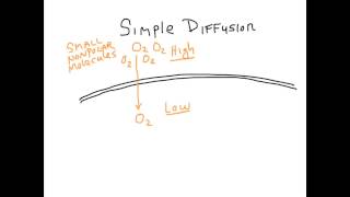 Simple Diffusion