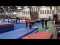 2019 CWG - Artistic Gymnastics - Male and Female Apparatus Finals - Vault