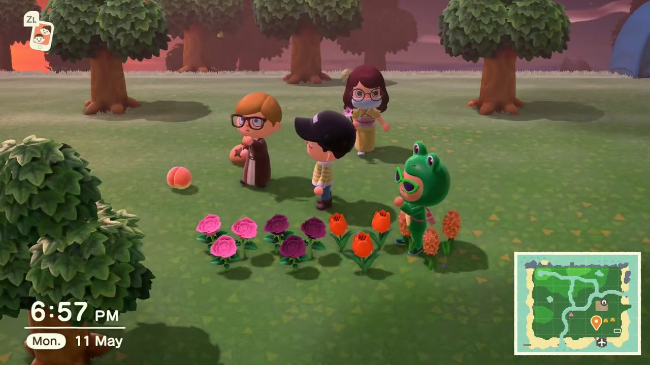 Let's play Animal Crossing New Horizons!