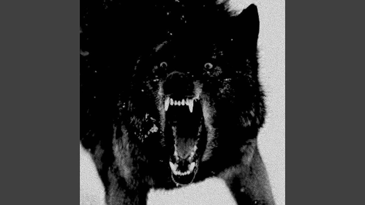 Guarda WOLF su YouTube Guarda WOLF su YouTube