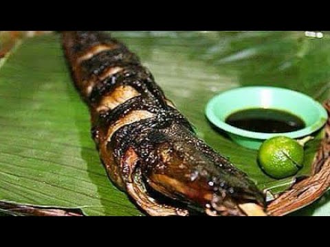 Video: Paano Magluto Ng Hito Ng Hito Sa Grill