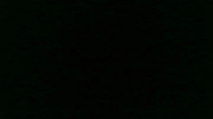 2020.4.11.PPC.The Strange Woman