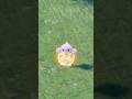 shiny meditite #pokemon #shinypokemon