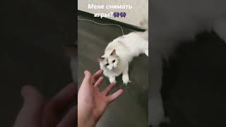 Мне снимать игры