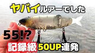 貝田ルアー スナイプ 2022. 7～ 9 | shell shaping lures