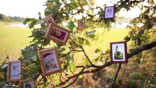 Magic Tree Photo Slideshow