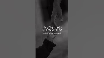 سورة نوح 🌸 القارئ: شريف مصطفى