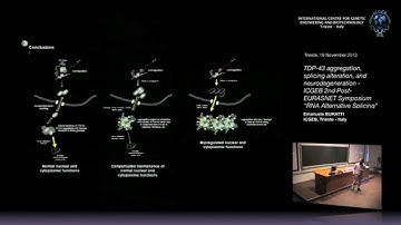 E. Buratti - TDP-43 aggregation, splicing alteration, and neurodegeneration