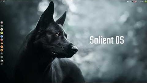GNU/Linux OS - Salient OS ISO Refresh v2019.2