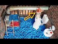  hamster escapes the underground maze 