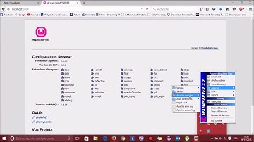 How to fix wampserver on windows 10 and 8 and 7