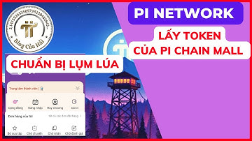 Pi Network Mới Nhất l Lấy TOKEN Pi Chain Mall l Blog Của Hải