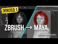 ZBrush to Maya: Перенос Волос, Ornatrix Grooming и Arnold Render [Full Workflow]