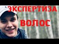 Влад Бахов. Результаты экспертизы волос