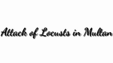 Mild Attack of Locusts