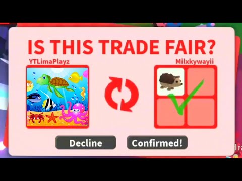 Was these fair trades!? in adopt me (roblox) - YouTube