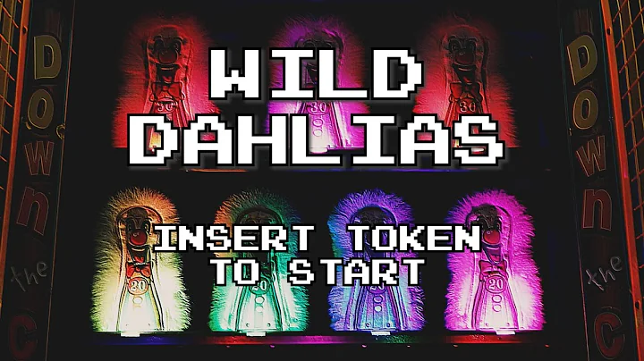 wild dahlias (Official Music Video)
