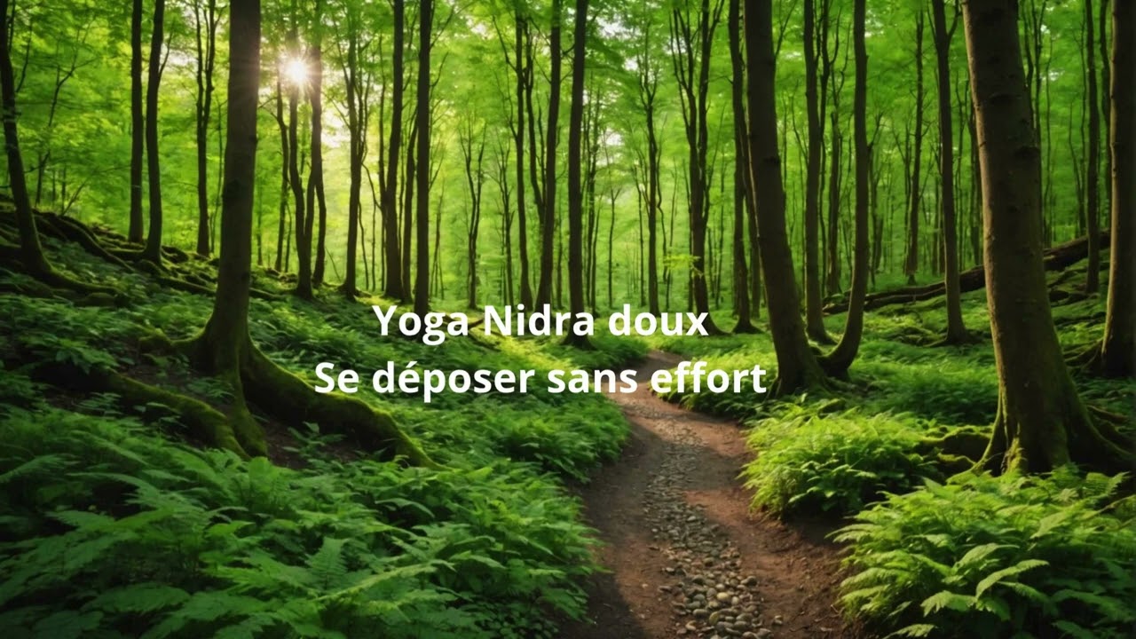 Yoga Nidra découverte – 12 min pour se détendre profondément