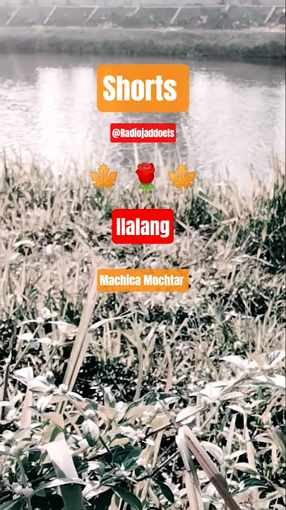 Ilalang - Machica Mochtar #shorts #nostalgia #lagu #dangdut #lawas @Radiojaddoels