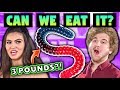 Can We Eat the Largest Gummy Worm in the World? (Challenge Chalice)