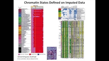 ChromHMM Tutorial - Jason Ernst