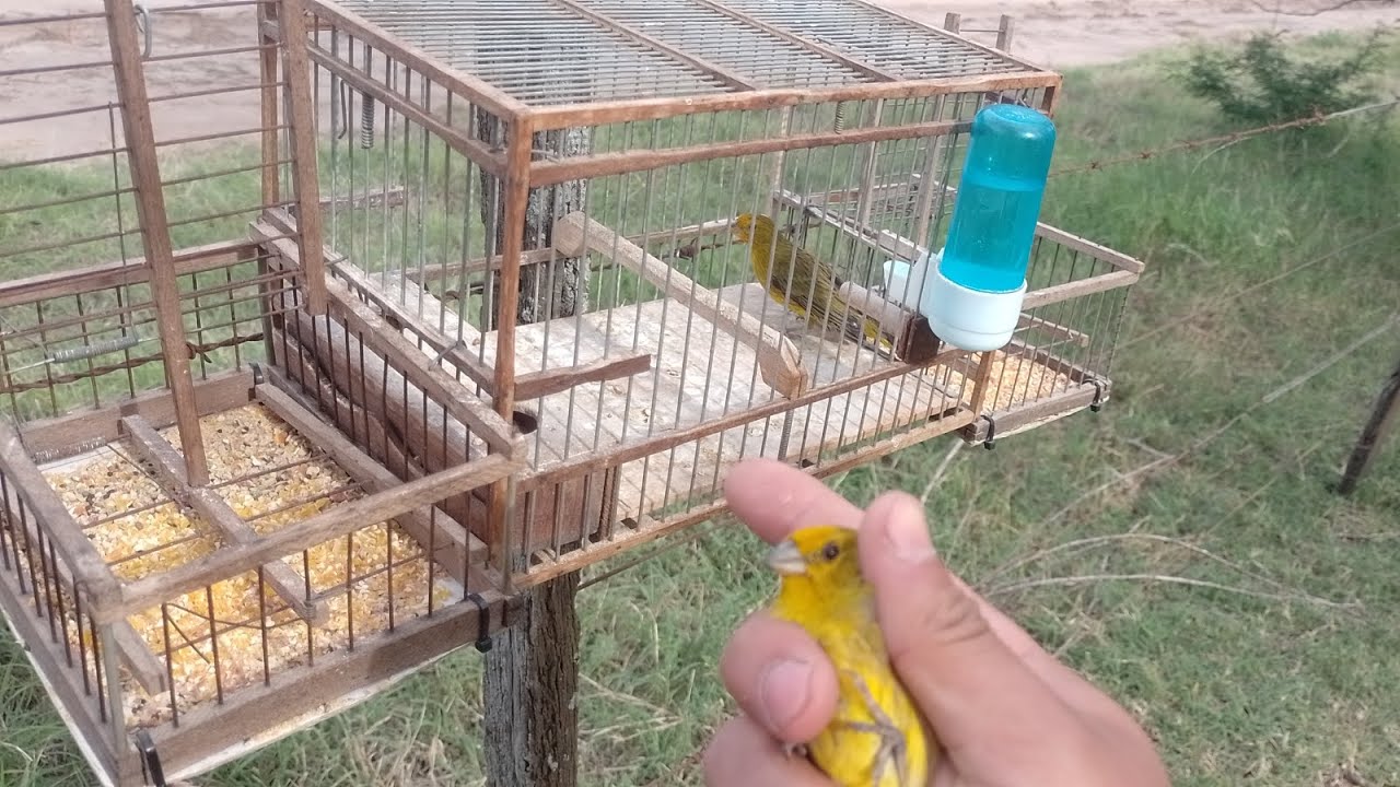 Mañana de muchas capturas y un poco de liberación!