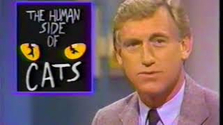 CATS Musical LA Company NBC News Interviews with David Sheehan