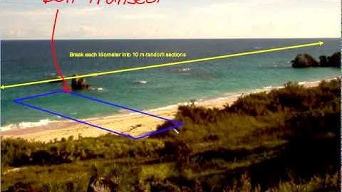 2.5.1 and 2.5.2 Zonation and Transects (ESS Guide 2026)