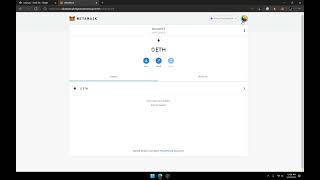 Bitcoin Transfer Freshman Physics Project Demo