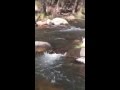 Sacred Water Healing 3-25-16