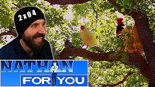 REACTION ► Nathan For You ► 2x04 - Liquor Store & Exterminator & Car Wash
