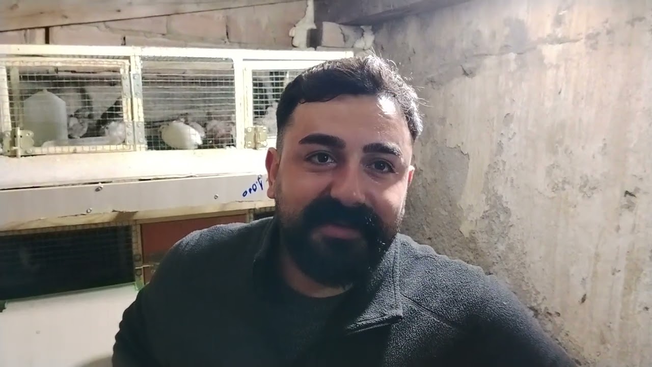 400 Yumurtadan Bıldırcın Çiftliği Kurduk! Yumurtadan Civcive Para Kazanma Sistemi”