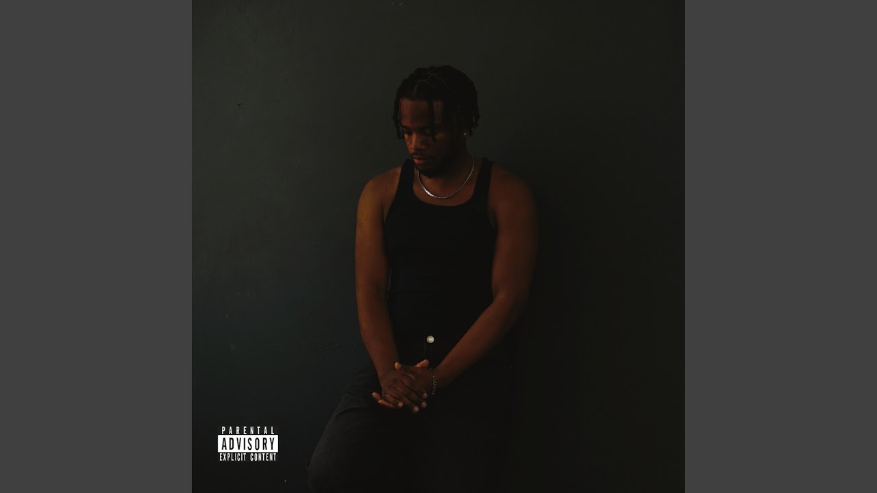 STAY IN FOR THE NIGHT (feat. C. Luciano)