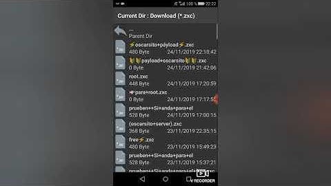 Payload bloqueado para custom personal  argentina 15 dias
