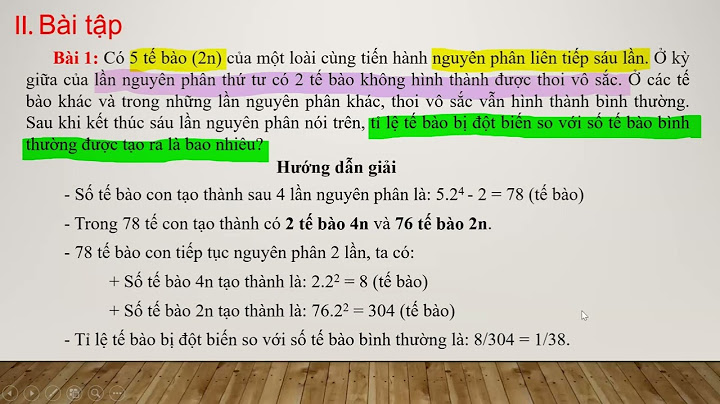 Các dạng bài tập về đột biến nhiễm sắc thể năm 2024