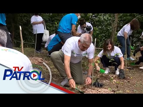 Video: Impormasyon sa Pagtatanim ng Grevillea - Lumalagong Grevillea Sa Hardin