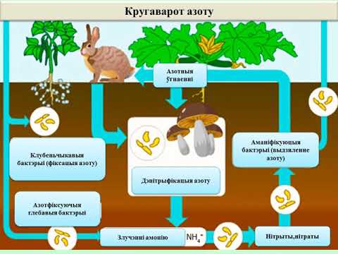 Веществ в природе 3 класс. Круговорот веществ в природе схема. Биологический круговорот веществ. Биологический круговорот в биосфере. Круговорот веществ в природе 3 класс.