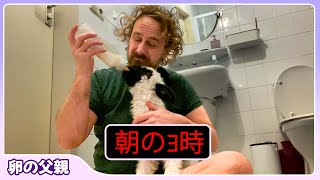 小さくて可愛い動物を救う　~ 素敵なジャンプの君~