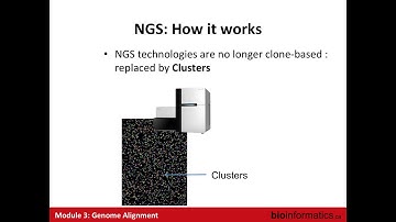 Genome Alignment