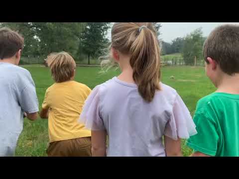 Bastrop Montessori - Lower Elementary Ages 6-9 years old