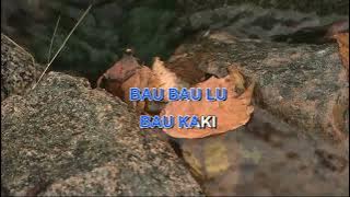 BAU BAU BAU PROJECT POP Indonesian Malay Karaoke