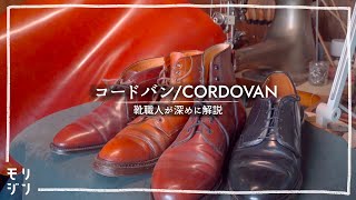 【Explanation of shoes】　Features and properties of cordovan