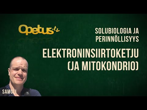 Video: Ero Villityypin Ja Mutanttityypin Välillä