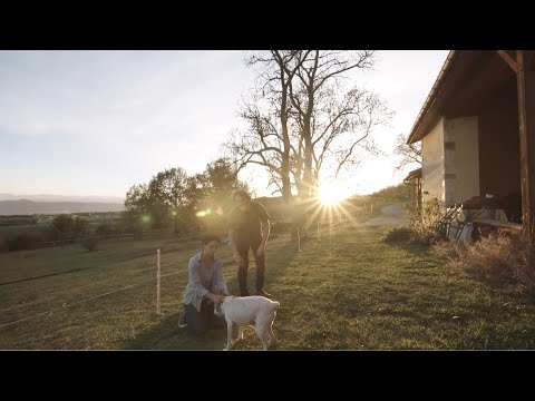 Видео: Любите домашних животных и путешествуете? Trusted Housesitters позволяет объединить оба!