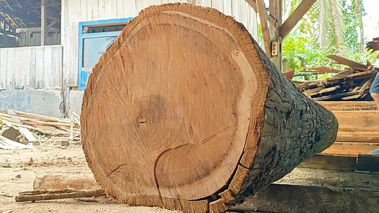 sawing old teak wood full of beautiful grain into 4 cm thick boards ...